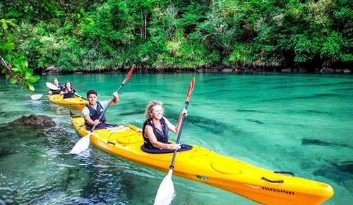 Explore New Zealand Your Way with Customized Tour Packages by TT Tours.jpg