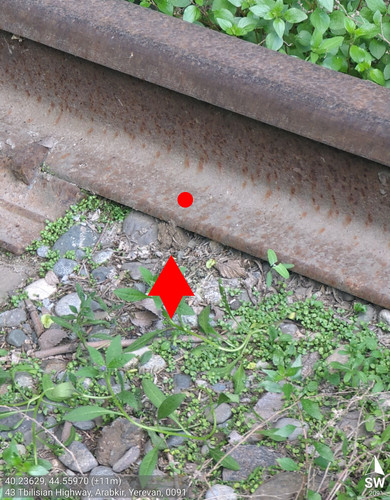 1000102241.jpg