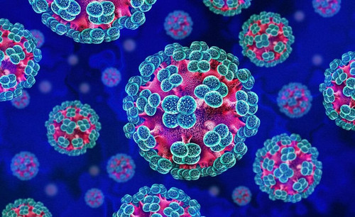 Latest hantavirus outbreak cruise ship update explained.jpg