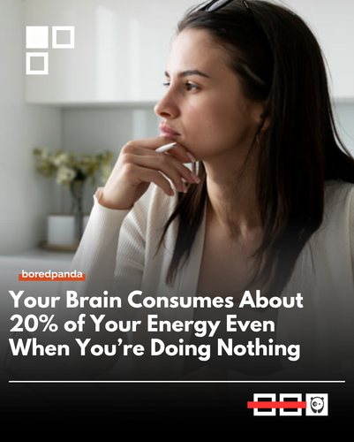 Brain.png