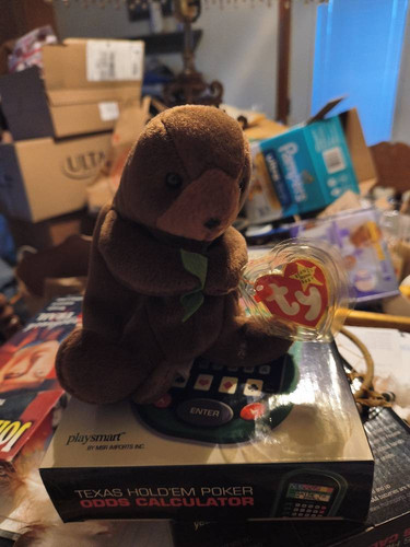 742a395482ac.jpg