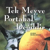 kapak.png