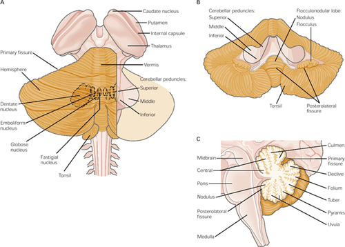 edbe8940732a.png