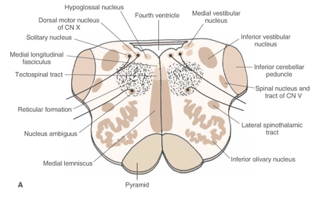 f94e759524f9.png