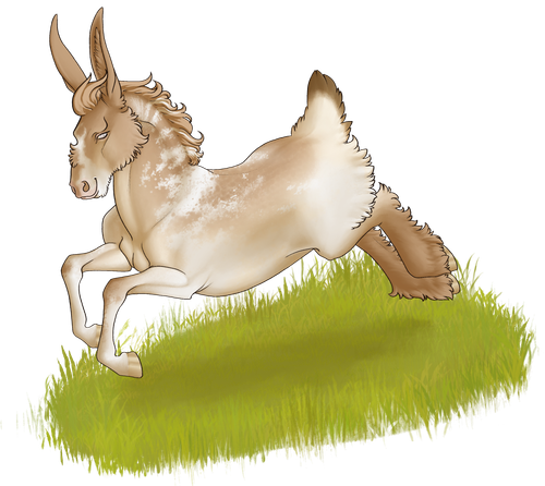 DungeonCoursers.Hudie.png