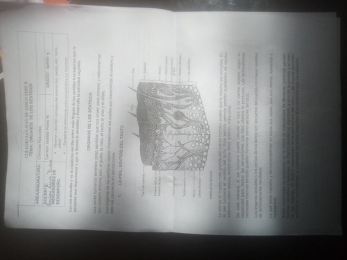 IMG 20260505 143734.jpg
