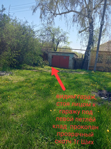 1000008910.jpg
