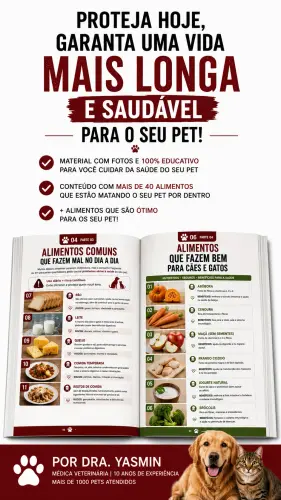 a09ebaf61ddf.webp