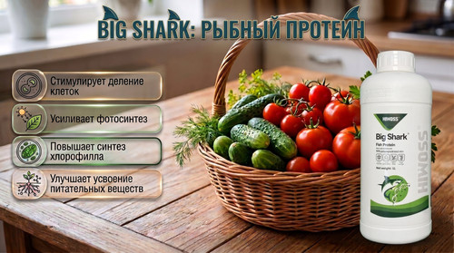 Gemini Generated Image enb61qenb61qenb6 (1) результат.jpg