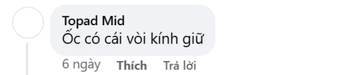 47291cf75387.png