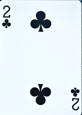 2 of Clubs.jpg