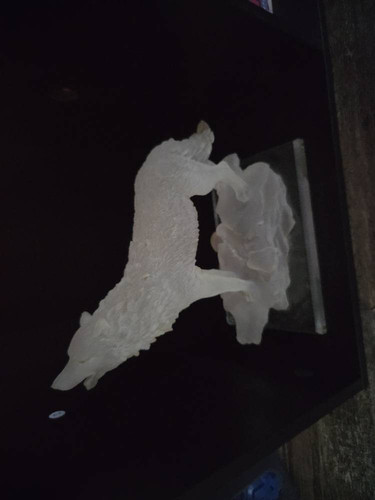 46c7ab9e6fb4.jpg