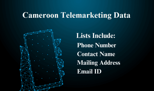Cameroon Telemarketing Data 768x455.png