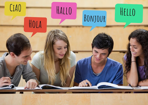 Professional Language Proficiency Training in UAE for Academic and Career Success.jpg