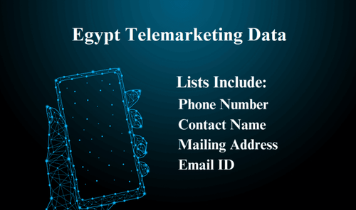 Egypt Telemarketing Data 768x455.png