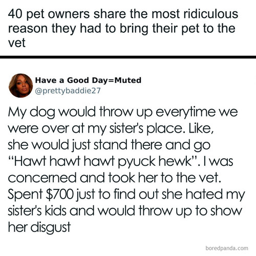 animals funny (1).jpg