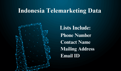 Indonesia Telemarketing Data 768x455.png