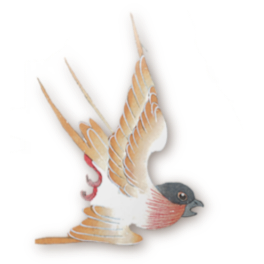 IMG 20260507 143941.png