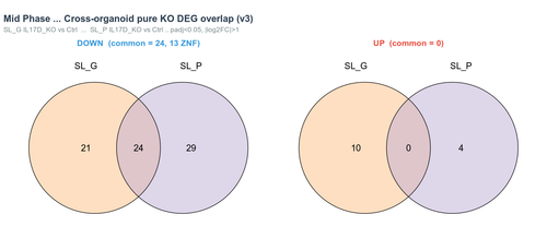 04 cross organoid venn.png