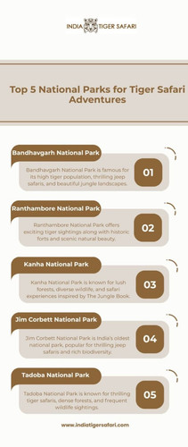 Top 5 National Parks for Tiger Safari Adventures (6).jpg