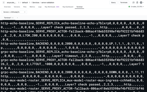 02 service terminal running.png