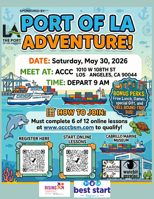 Flyer 4