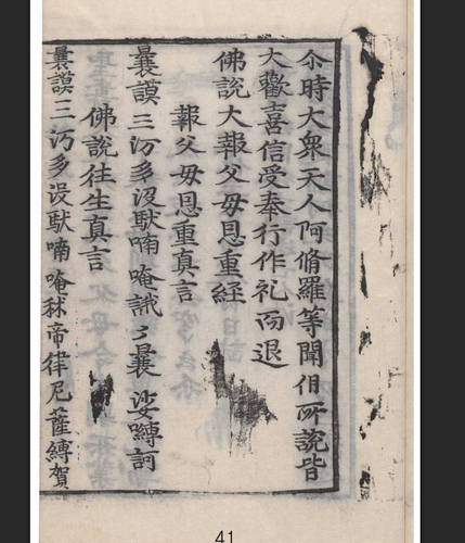 螢幕擷取畫面 2026 05 07 063503.png