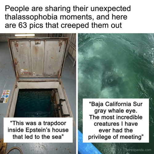 thalassophobiafearofwater.jpg
