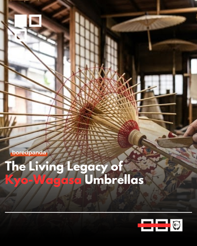 Kyo wagasa.png