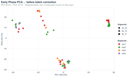05 PCA pre correction by rep.png
