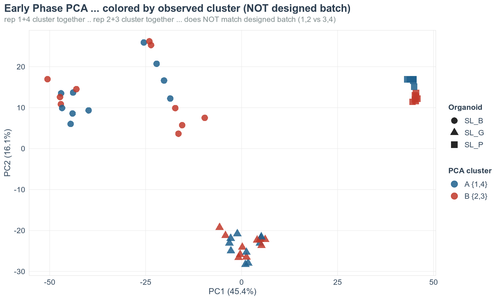 06 PCA pre correction by cluster.png