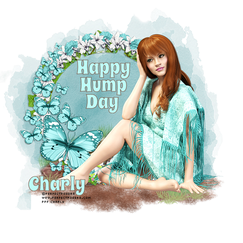 hump.png