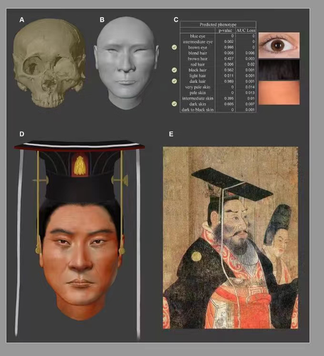 32687.png