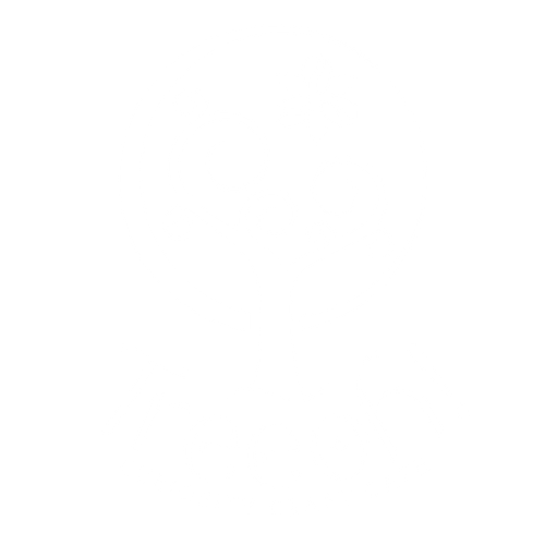 TreeOh Logo editTC 01 IG 2 trans.png