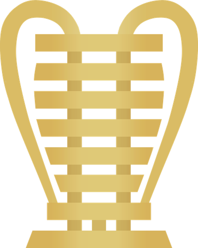CopadoNordeste2013 .png