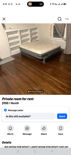 82491.jpg