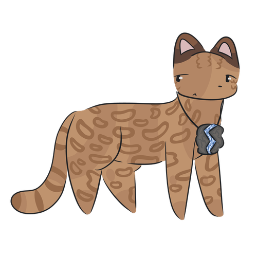IMG 2347.png