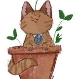 IMG 2345.png