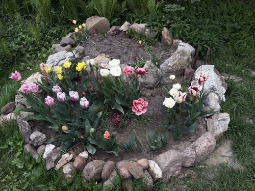 IMG 9814.jpg