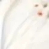 8 (1)