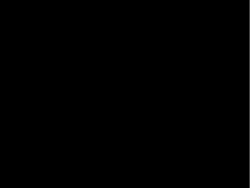 fe2753598eef.jpg