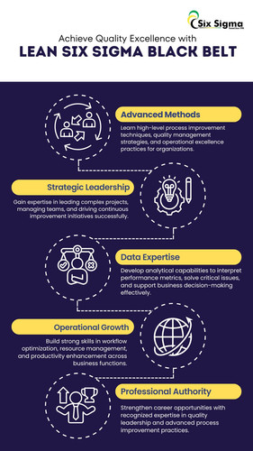 Achieve Quality Excellence with Lean Six Sigma Black Belt.jpg