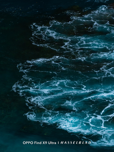 Image 1778110272157 542.png