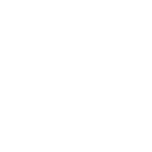 crossed axes.png