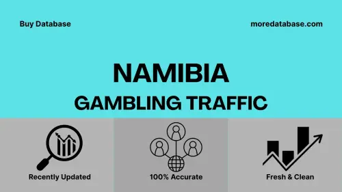 imageye imgi 36 Namibia Gambling Traffic.webp