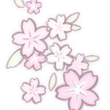 IMG 20260507 152521.png