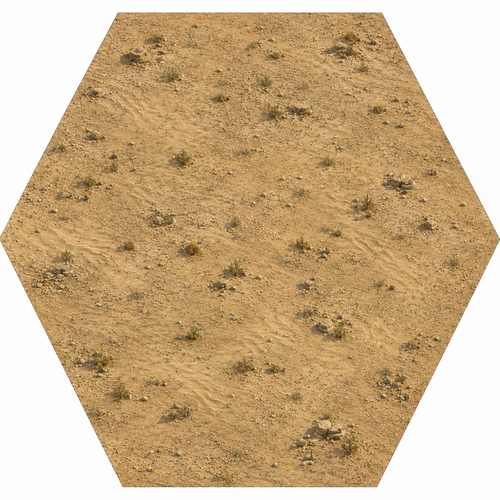 desert