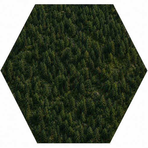 ChatGPT Image 7. 5. 2026, 08 25 37