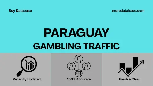 imageye imgi 35 Paraguay Gambling Traffic.webp