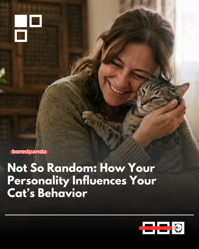 cat behavior.png